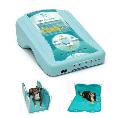 MAGNETOTERAPIA VETERINARIA